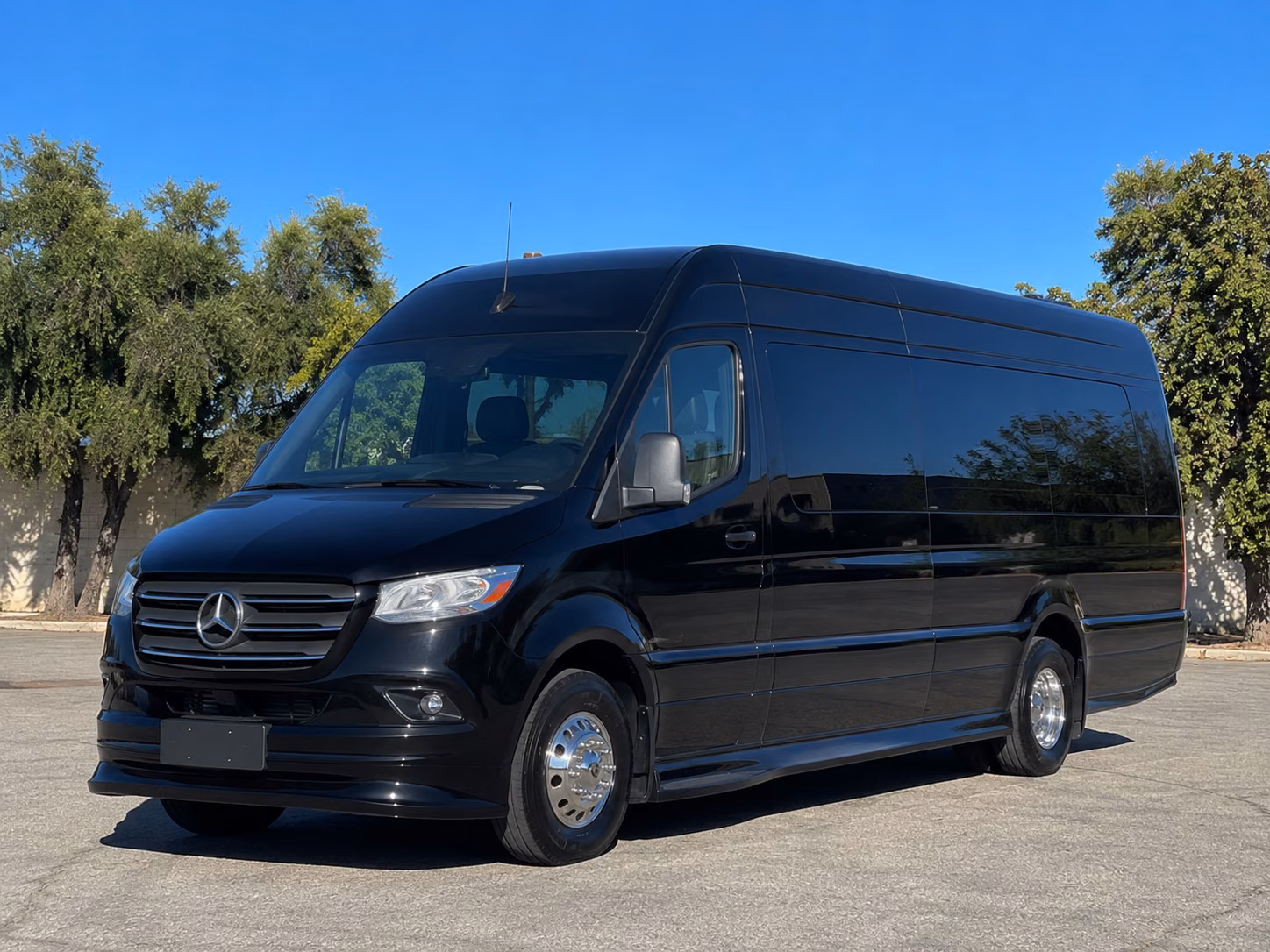 kirkland sprinter van with driver